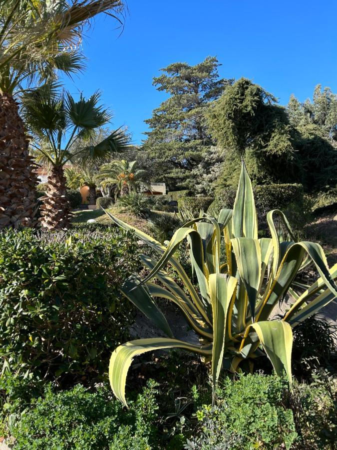 Appartement Vue Mer Domaine Arbore Saint-Raphaël Extérieur photo